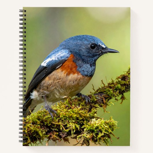 Kleine blauwe vogel notitieboek (Voorkant)