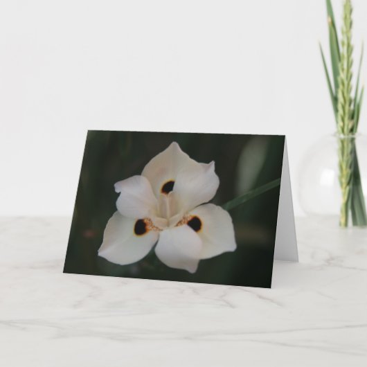 kleine bloem bedankkaart (Voorkant)