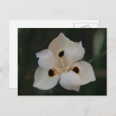 kleine bloem briefkaart (Voorkant / Achterkant)