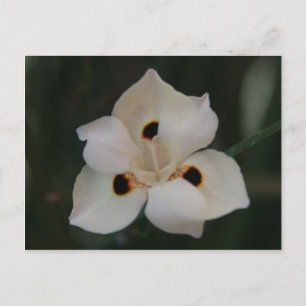 kleine bloem briefkaart