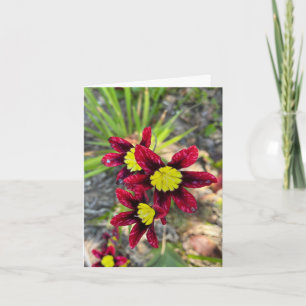 Kleine Bloemen Bedankkaart