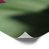 Kleine Bloemen Poster (Hoek)