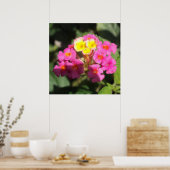Kleine Bloemen Poster (Keuken)