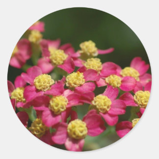 Kleine Bloemen Stickers