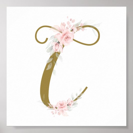 Kleine bloemenbaby's eerste shower-kraamkamer poster (Voorkant)