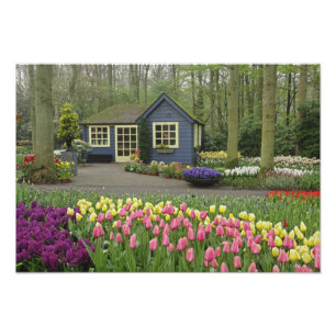 Kleine bloemenwinkel voor huisdieren, Keukenhof Ga Foto Afdruk