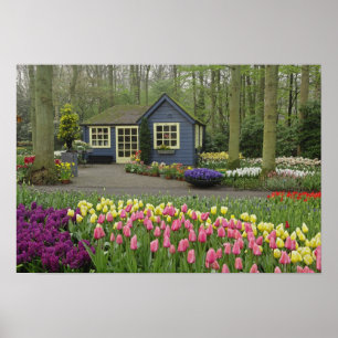 Kleine bloemenwinkel voor huisdieren, Keukenhof Ga Poster