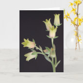 Kleine bloesems tijdens de vastentijd kaart (Gele Bloem)