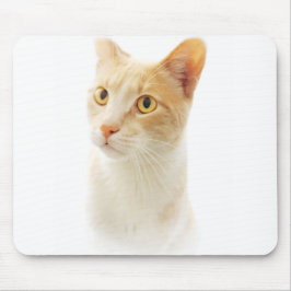 Kleine Blondie Kat Verwonderd Muismat