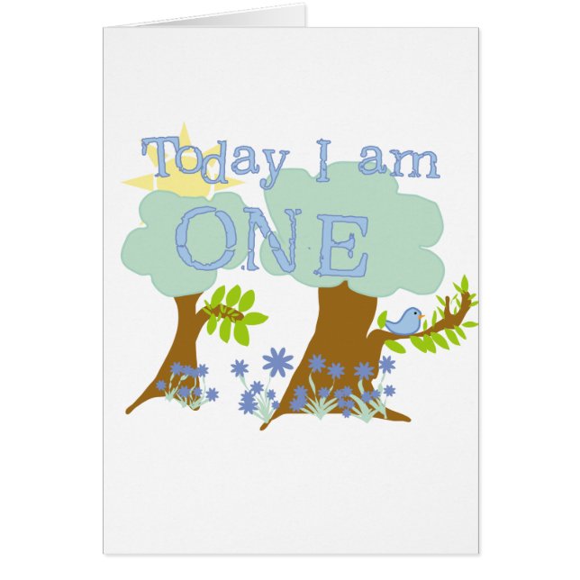 Kleine Bluebird 1e verjaardag Tshirts en geschenke (Voorkant)