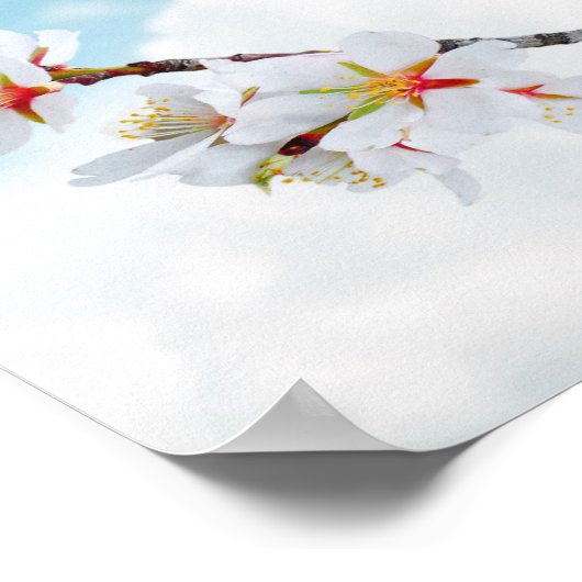 kleine Bluebird Poster (Hoek)