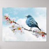 kleine Bluebird Poster (Voorkant)