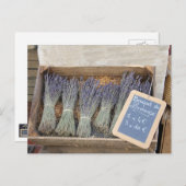 Kleine boeketten van lavendel briefkaart (Voorkant / Achterkant)