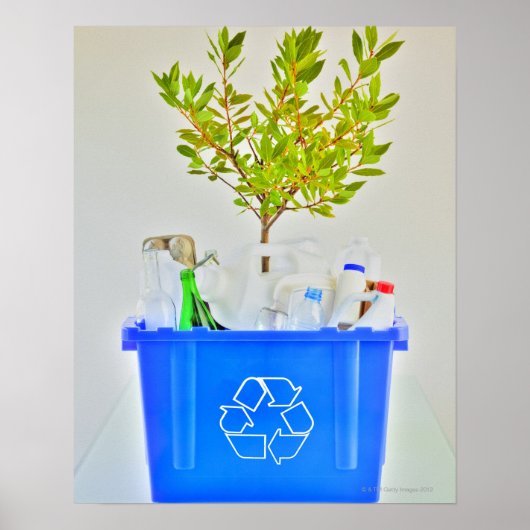 Kleine boom poster (Voorkant)