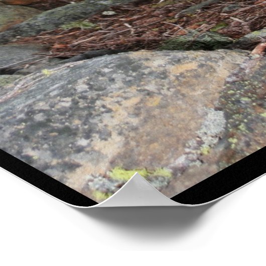 Kleine boom poster (Hoek)