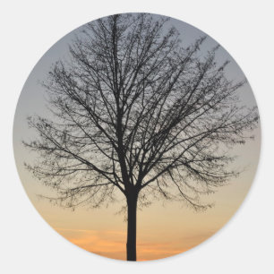 kleine boom zonsondergang landschap, Baum Sonnenun Ronde Sticker
