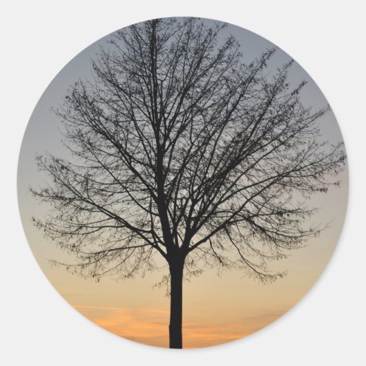 kleine boom zonsondergang landschap, Baum Sonnenun Ronde Sticker (Voorkant)