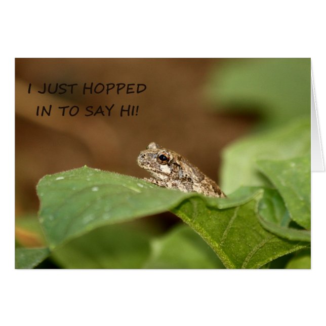 Kleine boomkikker die binnenkomt om te zeggen: Hal (Voorkant Horizontaal)