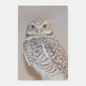 Kleine boomkorren post-it® notes (Voorkant)