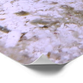 Kleine Boxvis Poster (Hoek)