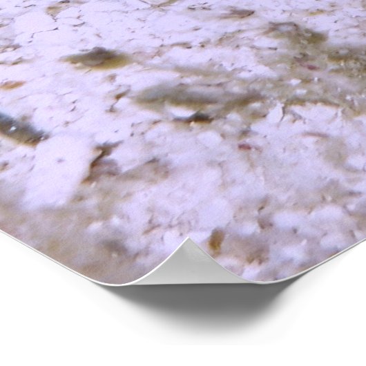 Kleine Boxvis Poster (Hoek)