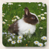 Kleine bruine en witte Bunny in bloemen Bier Onderzetter (Voorkant)