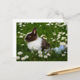 Kleine bruine en witte Bunny in bloemen Briefkaart