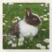 Kleine bruine en witte Bunny in bloemen Glazen Onderzetter (Voorkant)