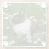 Kleine bruine en witte Bunny in bloemen Glazen Onderzetter (Achterkant)