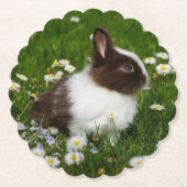 Kleine bruine en witte Bunny in bloemen Kartonnen Onderzetters (Voorkant)