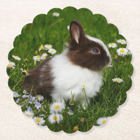 Kleine bruine en witte Bunny in bloemen Kartonnen Onderzetters (Voorkant)