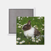 Kleine bruine en witte Bunny in bloemen Magneet (Voorkant / Achterkant)