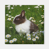 Kleine bruine en witte Bunny in bloemen Magneet (Voorkant)