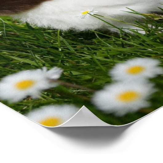 Kleine bruine en witte Bunny in bloemen Poster (Hoek)