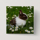 Kleine bruine en witte Bunny in bloemen Vierkante Button 5,1 Cm (Voorkant)
