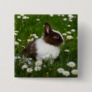 Kleine bruine en witte Bunny in bloemen Vierkante Button 5,1 Cm