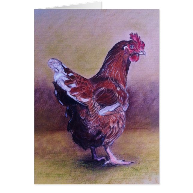 Kleine bruine kip (Voorkant)