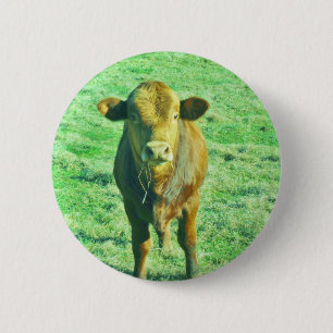 Kleine bruine Koe in pastelgroen gras Ronde Button 5,7 Cm