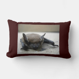 Kleine bruine vleermuis (Myotis lucifugus) Kussen