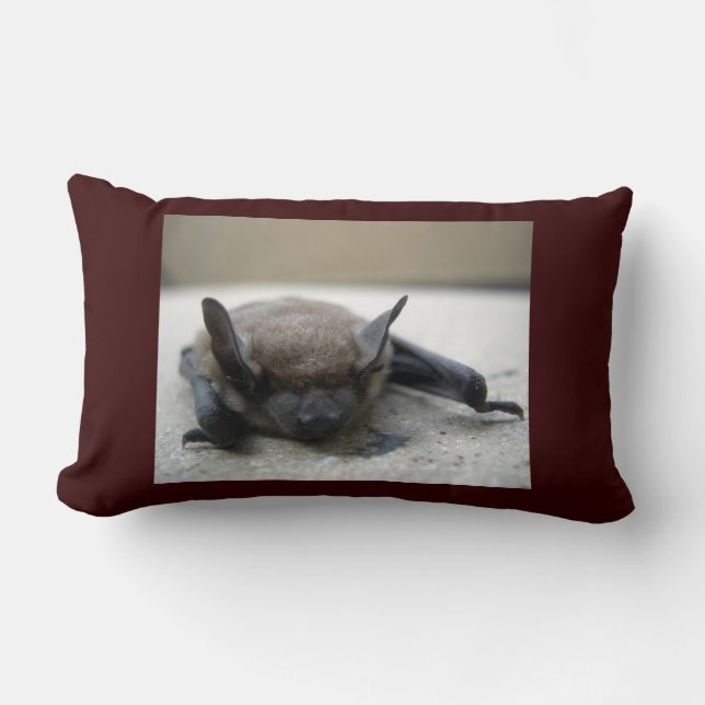 Kleine bruine vleermuis (Myotis lucifugus) Kussen (Voorkant)