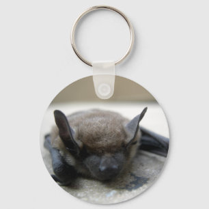 Kleine bruine vleermuis (Myotis lucifugus) Sleutelhanger