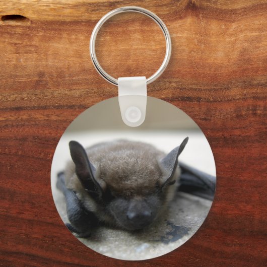 Kleine bruine vleermuis (Myotis lucifugus) Sleutelhanger (Voorkant)