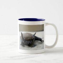 Kleine bruine vleermuis (Myotis lucifugus) Tweekleurige Koffiemok