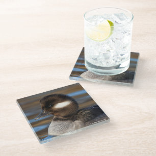 Kleine buffelstang op zonlicht water glazen onderzetter