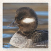 Kleine buffelstang op zonlicht water glazen onderzetter (Voorkant)