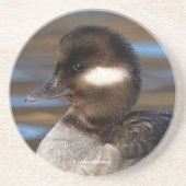 Kleine buffelstang op zonlicht water zandsteen onderzetter (Voorkant)