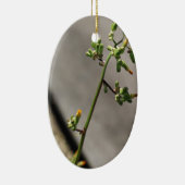 Kleine Bug, kleine bloem Keramisch Ornament (Rechts)