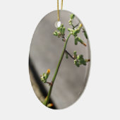 Kleine Bug, kleine bloem Keramisch Ornament (Links)