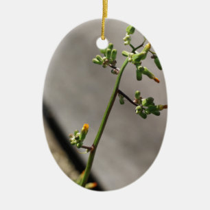 Kleine Bug, kleine bloem Keramisch Ornament