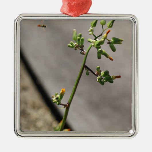 Kleine Bug, kleine bloem Metalen Ornament (Voorkant)